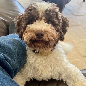 Meet your Posher, Kathryn